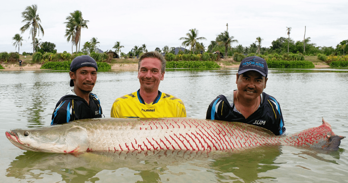 Amazon Fishing Park