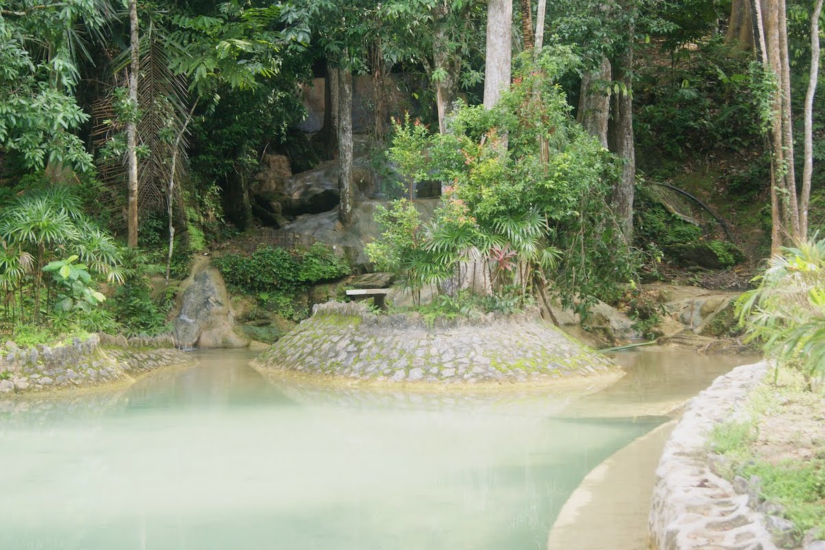 Bukit Ayer Amenity Forest (Hutan Lipur Bukit Ayer)