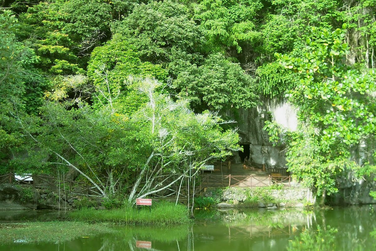 Bukit Kubu Amenity Forest (Hutan Lipur Bukit Kubu)