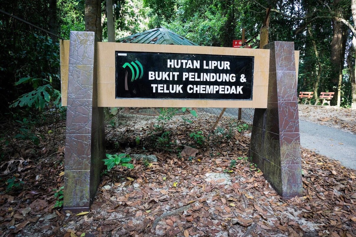 Bukit Pelindung Recreational Forest (Hutan Lipur Bukit Pelindung)