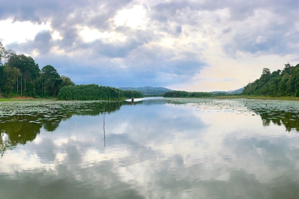 Chini Lake