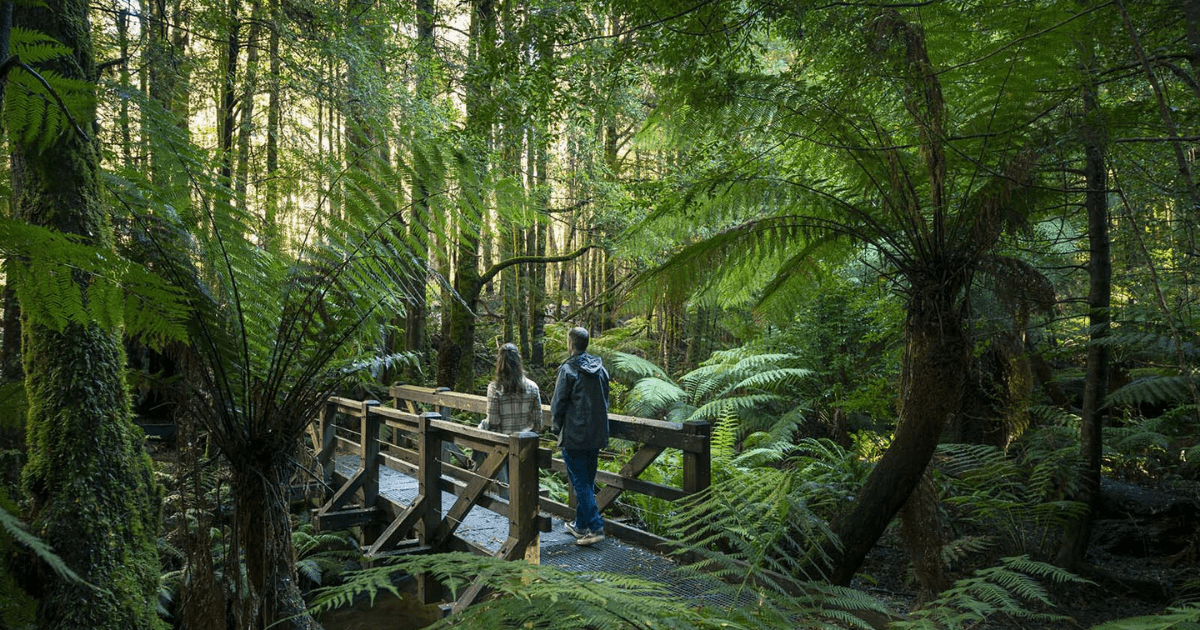 dandenong ranges national park
