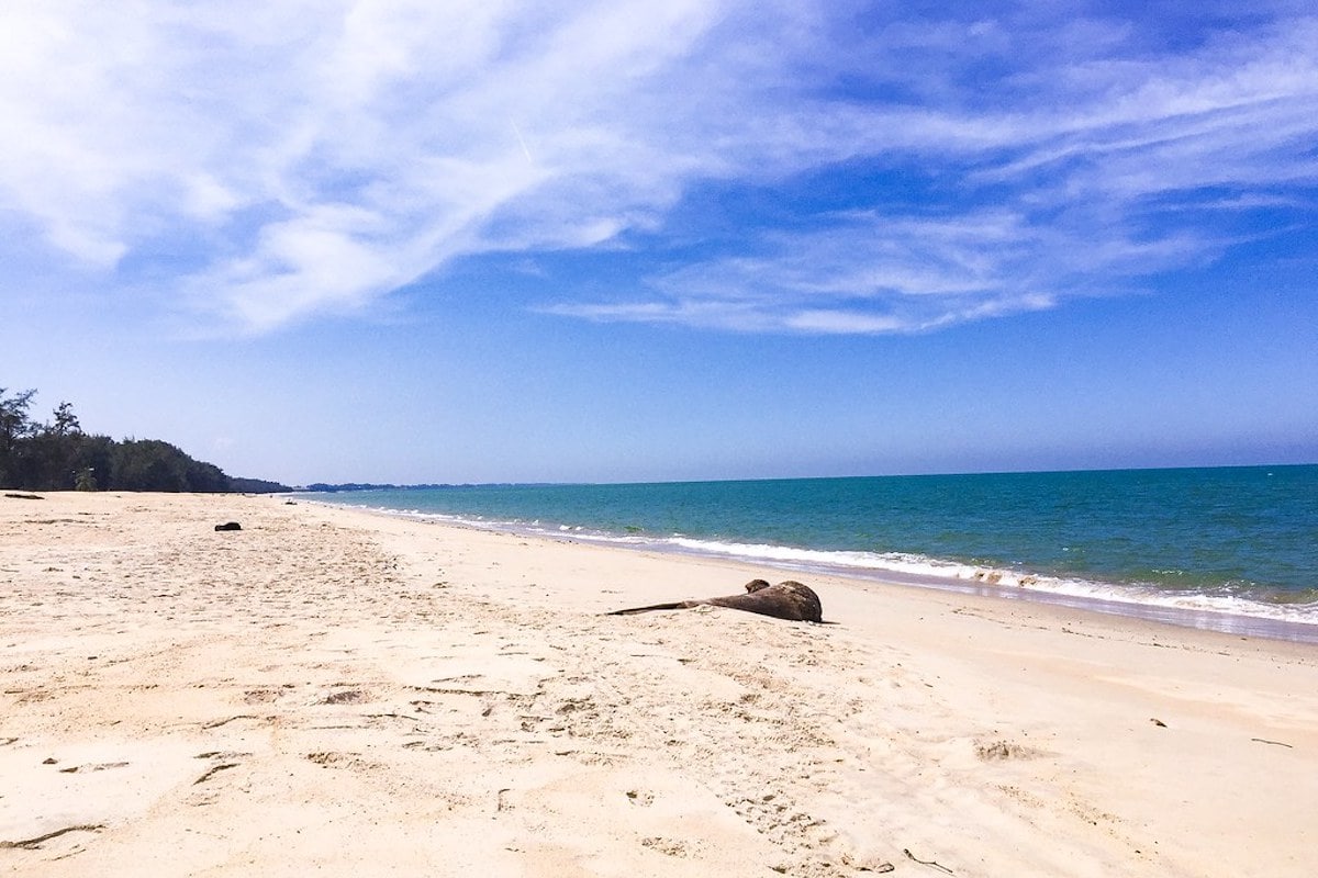 7 Pantai di Kelantan Untuk Percutian Yang Hebat (2024)