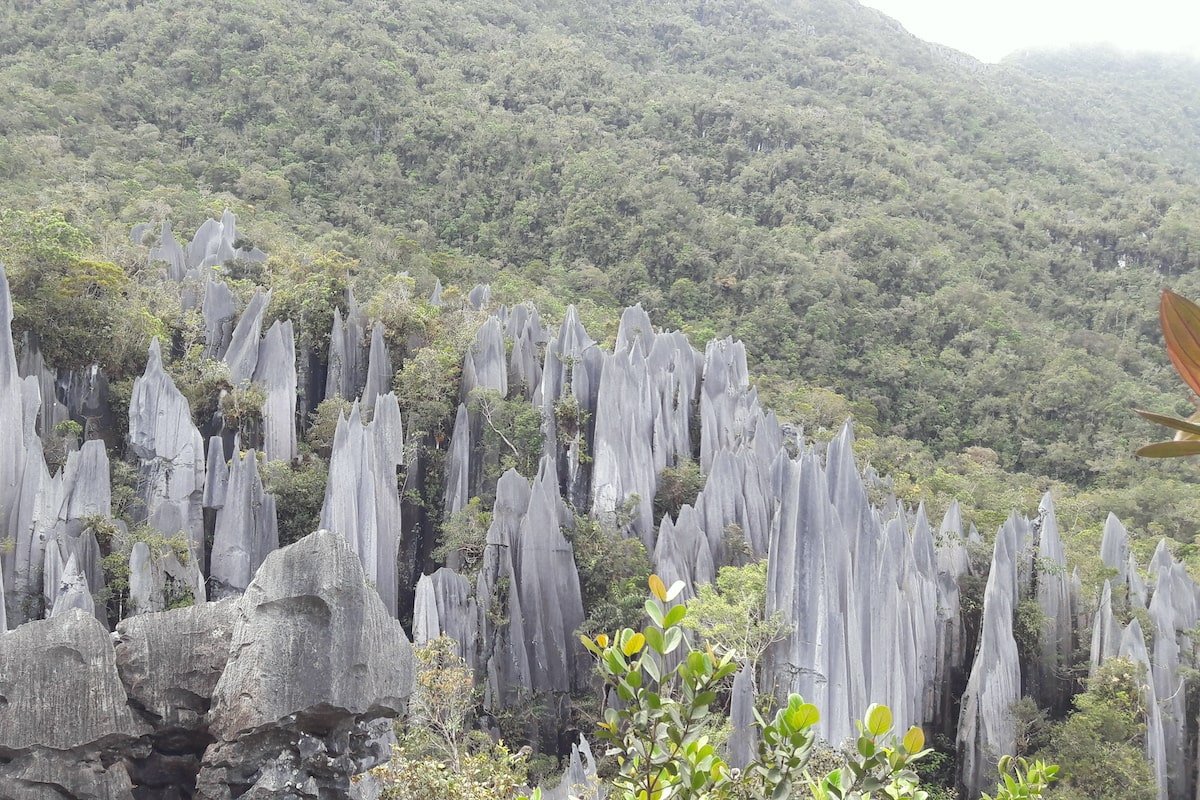 12 Tempat Menarik Di Miri 2024 Trixoli