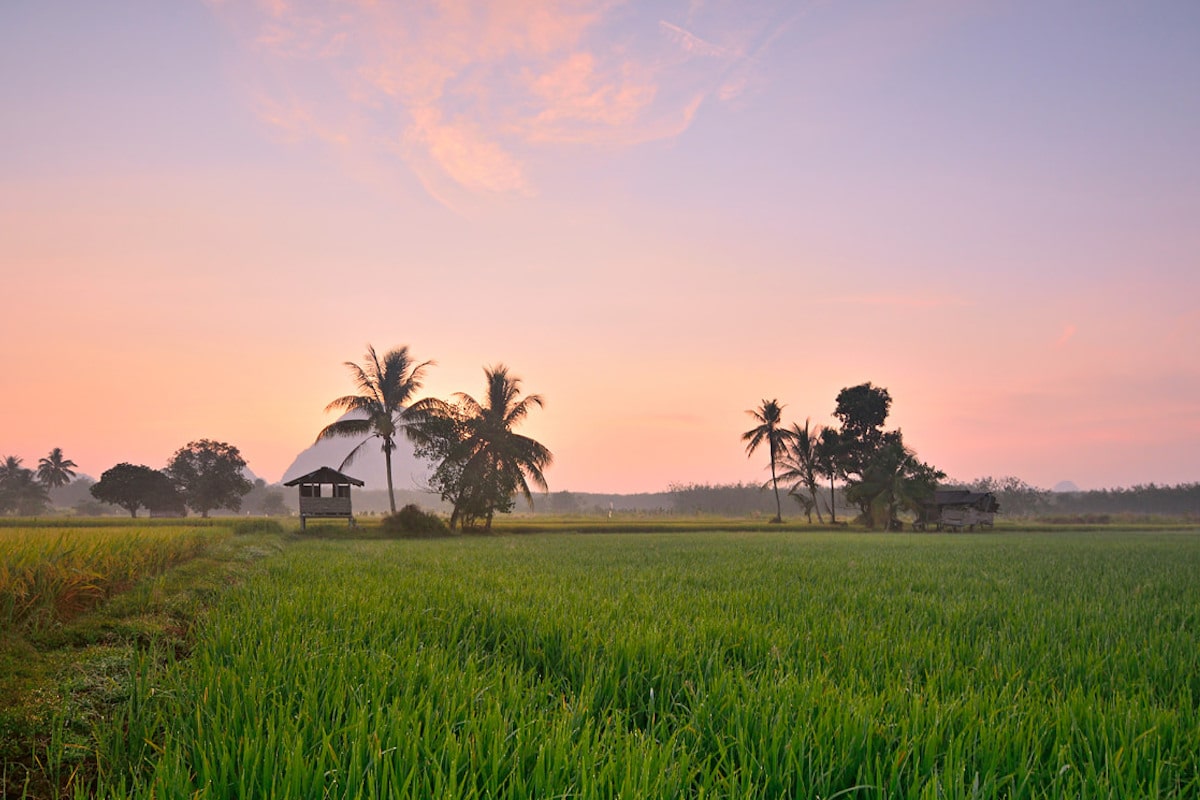 Tempat menarik di perlis 2022