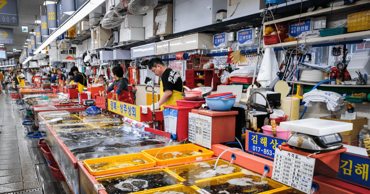 jagalchi market
