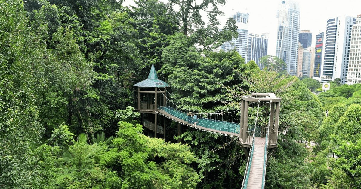 taman di kuala lumpur - David Langdon