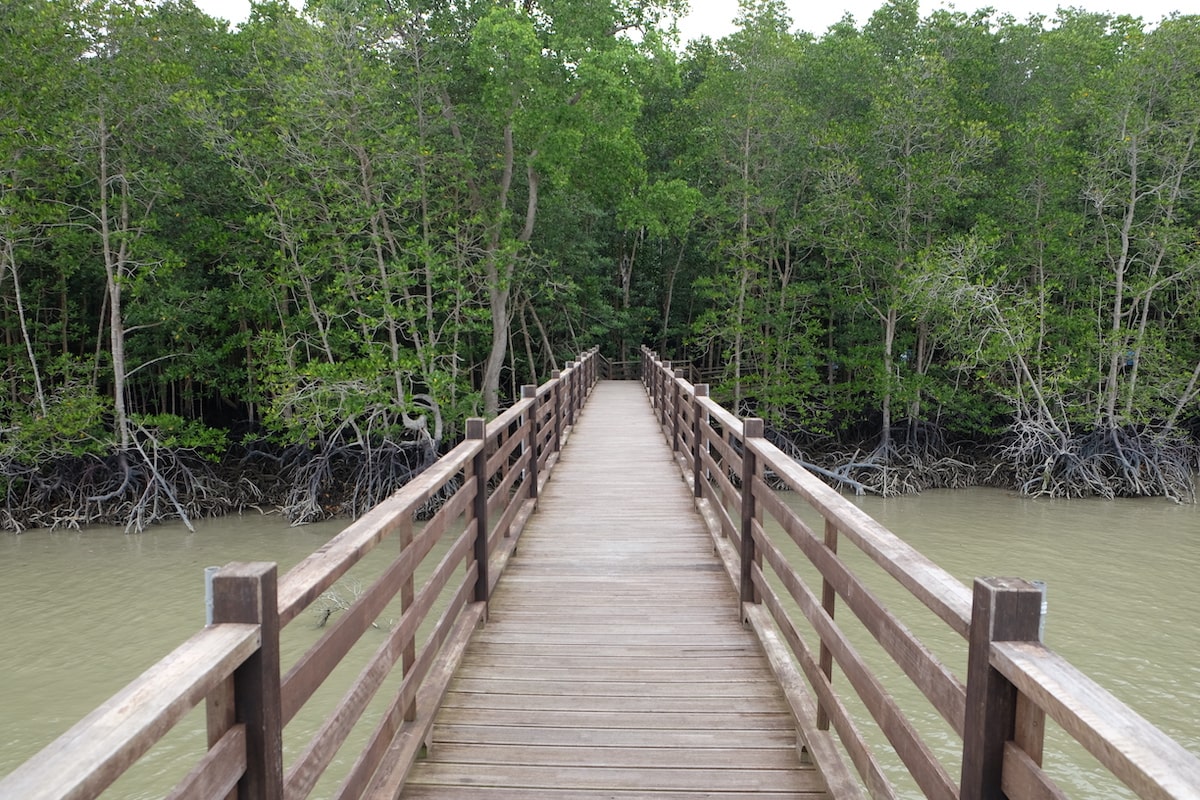 Kukup, A Friendly and Peaceful Fishing Village - Kukup