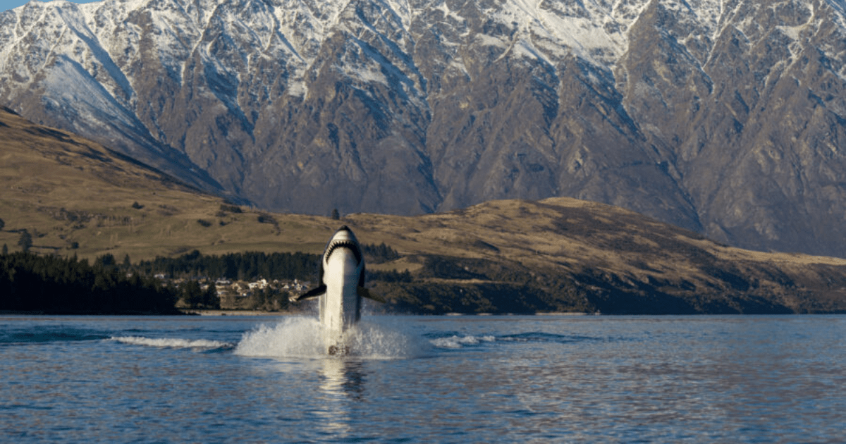 lake wakatipu