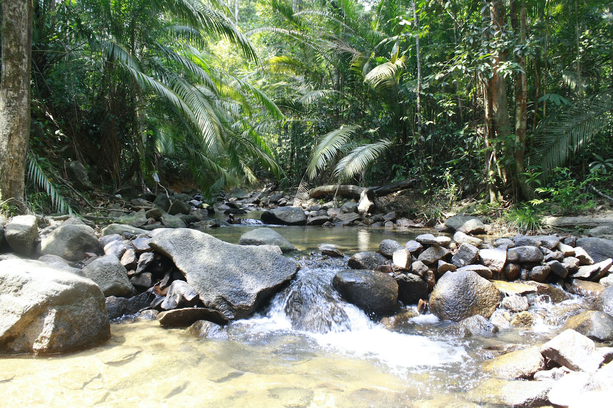 Mount Belumut (Gunung Belumut)