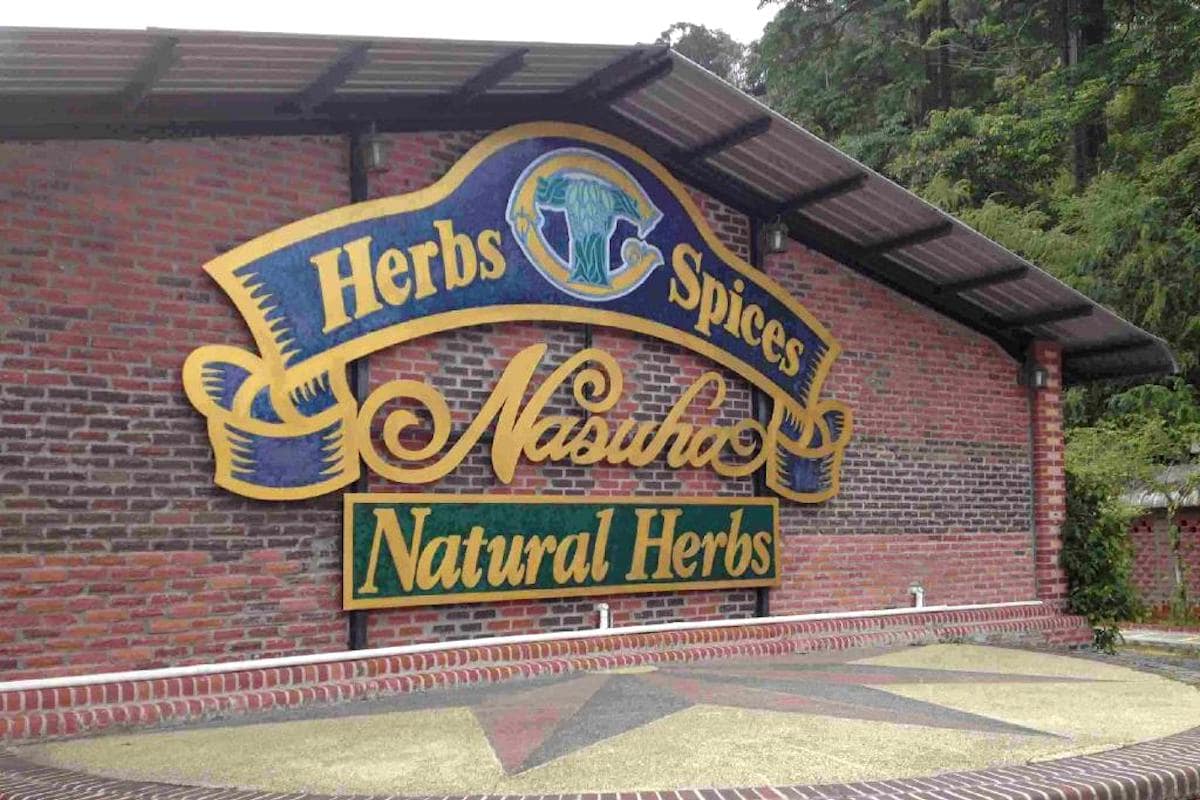 Nasuha Herbs and Spice Farm