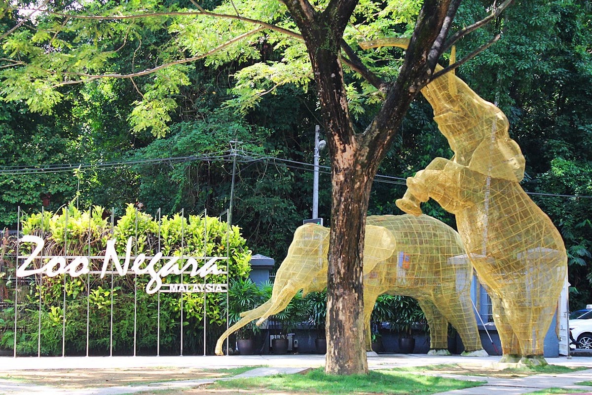 National Zoo of Malaysia (Zoo Negara Malaysia)