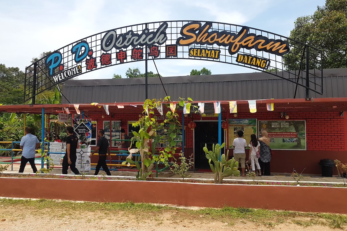 P.D. Ostrich Show Farm