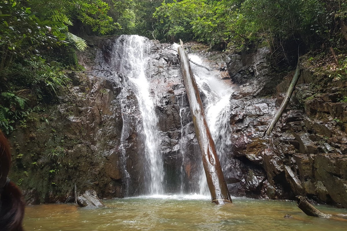 Pelepah Waterfall (Air Terjun Gunung Pelepah)