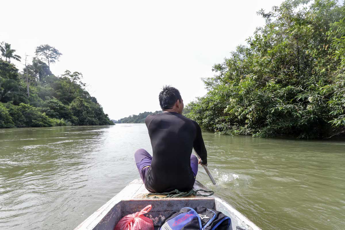 Perak River Safari