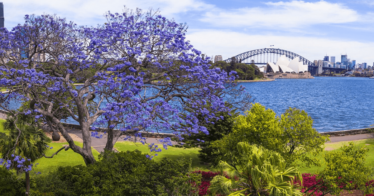 royal botanic gardens