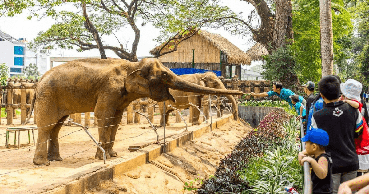 saigon zoo and botanical garden