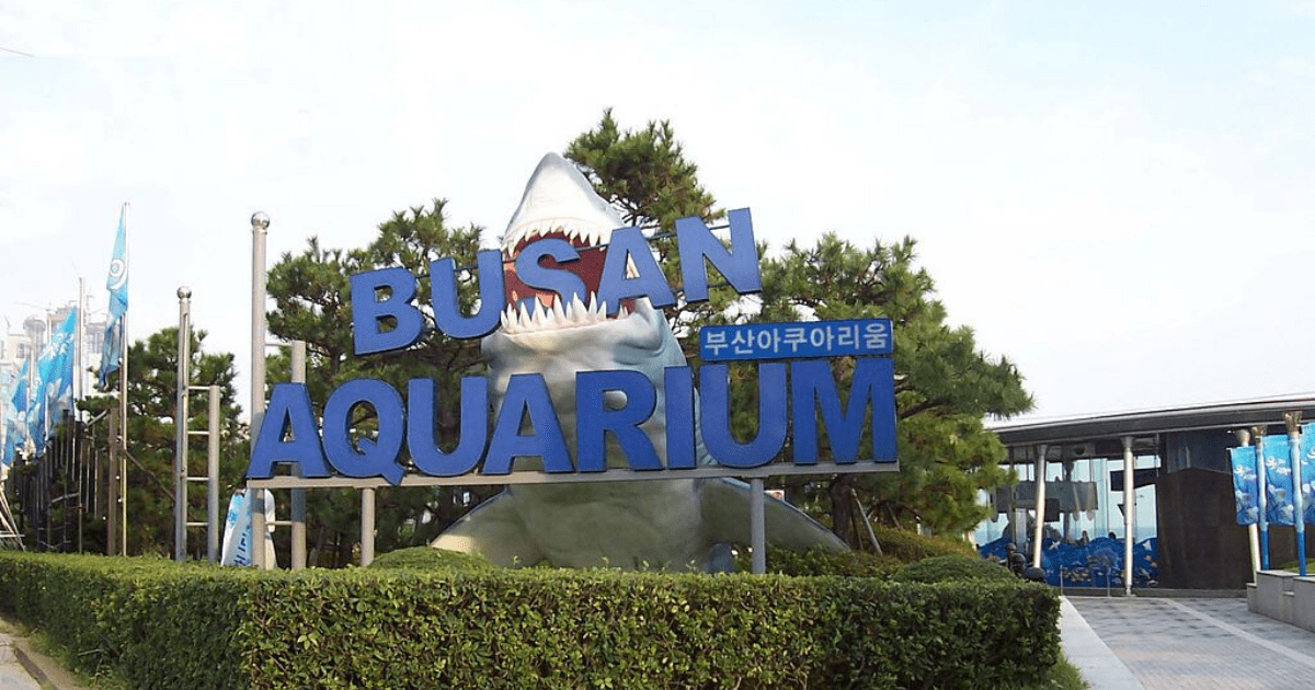 sea life busan aquarium