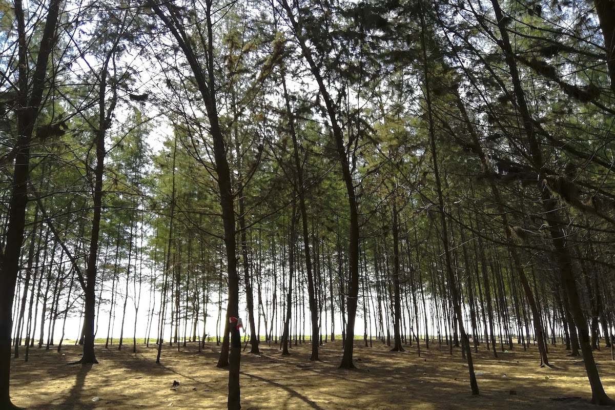 Senok Beach (Pantai Senok)