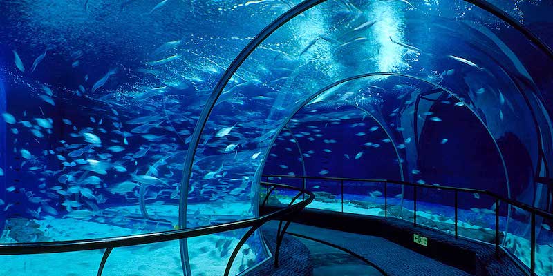 shanghai ocean aquarium