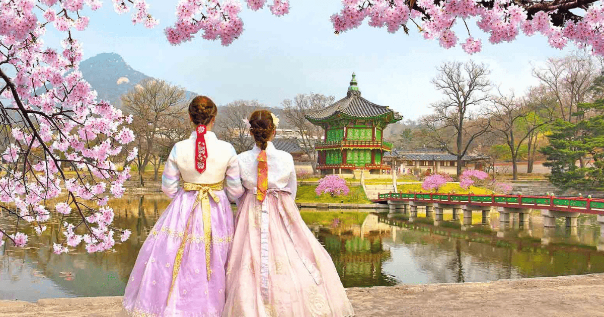 south korea tour group finds shelter with my couple