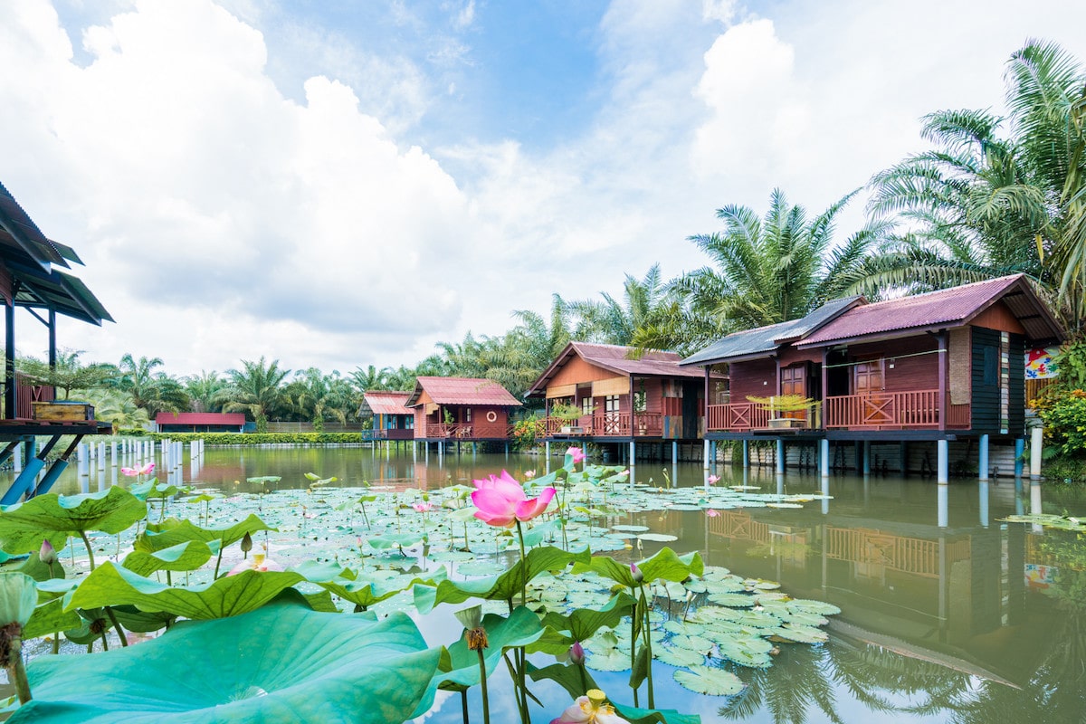 Star Fish Leisure Farm