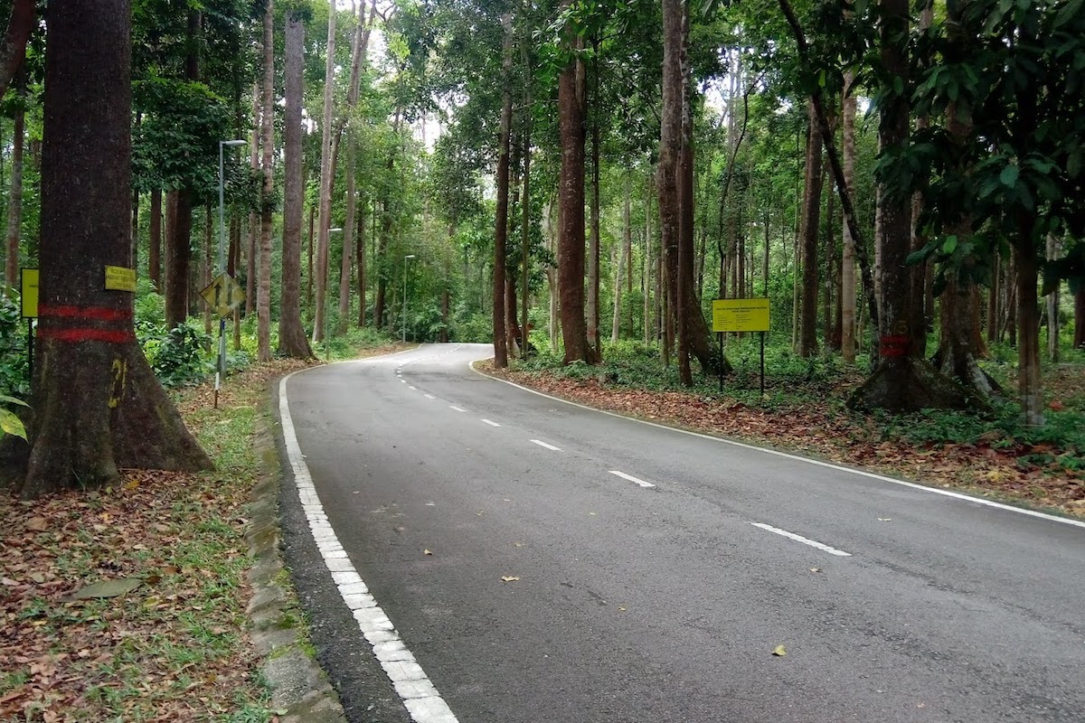 Sungai Menyala Edu-Ecotourism Centre (Pusat Edu-Ecotourism Sungai Menyala)