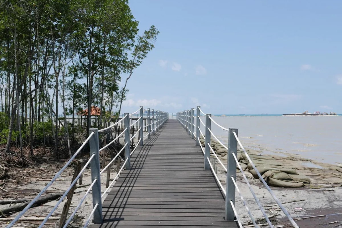 Tanjung Piai National Park (Taman Negara Tanjung Piai)