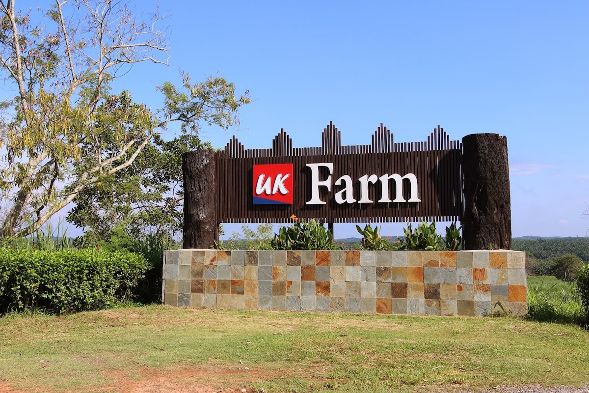 UK Farm Agro Resort