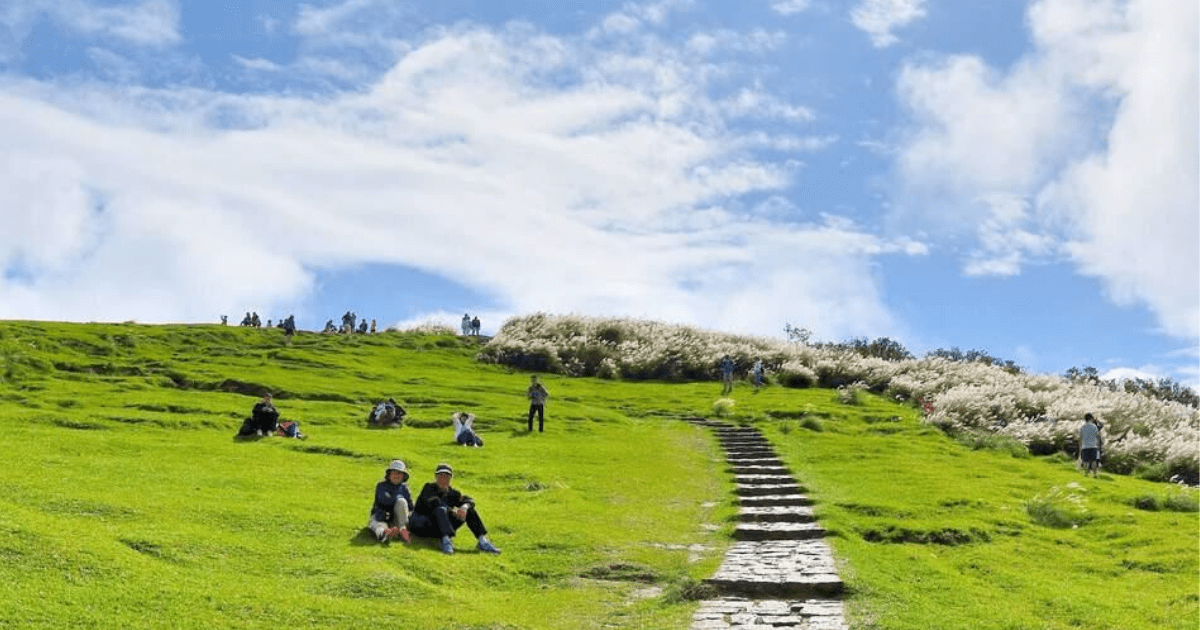 yangmingshan national park